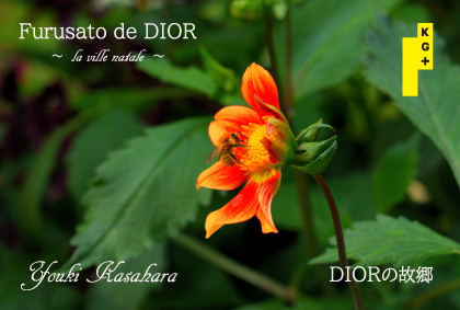 DIORの故郷 FURUSATO de Dior ~La Ville natale~