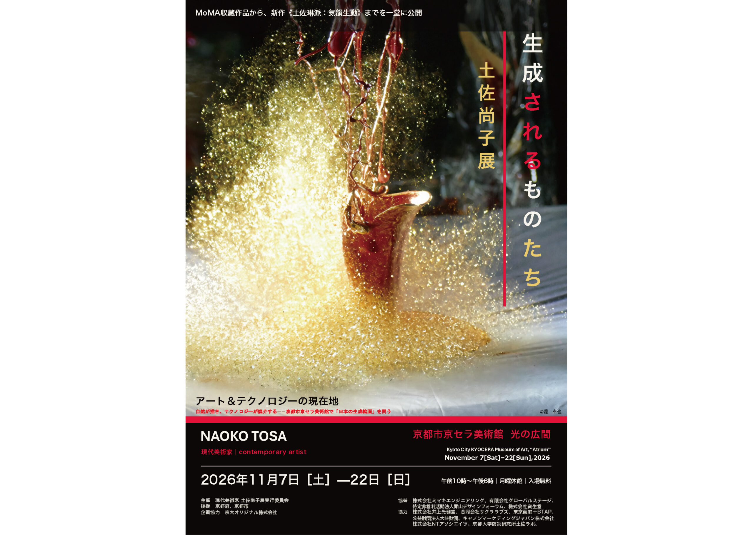 現代美術家 土佐尚子展「生成されるものたち」